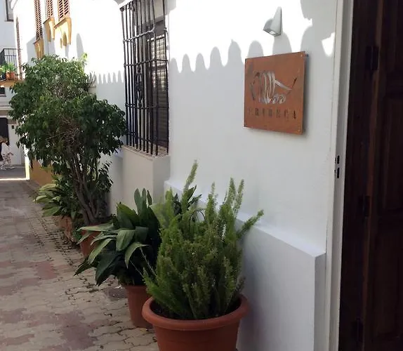 Tribeca Boutique Марбелья