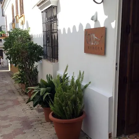 Tribeca Boutique Marbella